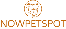 logo-img